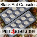 Black Ant Capsules 07